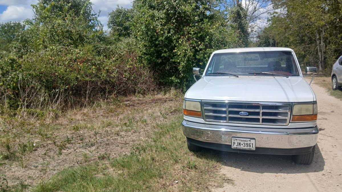 1995 Ford F-250 XL 5.8L